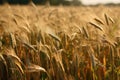 Barley Field Close. Generative AI