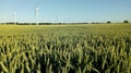 Barley field, wind farm Royalty Free Stock Photo