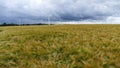 A barley field with many wind turbines on the horizon Royalty Free Stock Photo