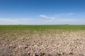 Barley fields in a system of dryland agriculture