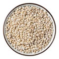 Barley grain Royalty Free Stock Photo