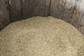 Barley grain in old barrel Royalty Free Stock Photo