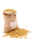 Barley grain seed close up isolated Royalty Free Stock Photo