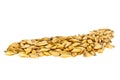 Barley grain seed isolated on white background, close up Royalty Free Stock Photo