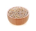 Barley grain seed Royalty Free Stock Photo