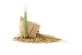 Barley grain seeds spilling from a jute sack over white Royalty Free Stock Photo