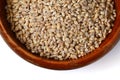 Barley grain seeds Royalty Free Stock Photo