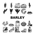 barley grain wheat icons set vector Royalty Free Stock Photo