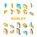 barley grain wheat icons set vector Royalty Free Stock Photo