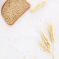 Barley grains, ear and piece of bread. Royalty Free Stock Photo