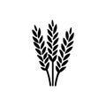 Barley grains icon