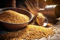 barley grains used in whisky production process