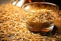 barley grains used in whisky production process