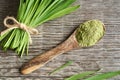 Barley grass powder with fresh barley grass blades Royalty Free Stock Photo