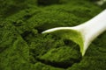 Barley grass powder