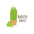 Barley grass superfood.