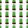 Barley grass, wheat seamless pattern. Cartoon flat style. Vector illustration