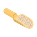 Barley grits in wooden scoop isolated. Groats in wood shovel. Gr