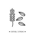 Barley line icon. Superfood illustration