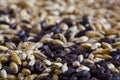 Barley malt Royalty Free Stock Photo