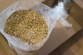 Barley malt for home beer brewing