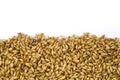 Barley malt texture pale ale for backgrounds, half malt image, half image with white background