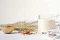 Barley milk as holistic drink for toxins elimination, helps to reduce acidity. beta-glucan source. vegan drink on a