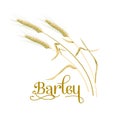Barley, oat set. Plant, spikelet with ears, grains, seeds, sheaf. 3d icon vector. Royalty Free Stock Photo