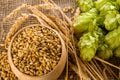 Barley raw grains in wooden bowl, wheat ears and hops green cones on burlap background as ingredient for beer brewing, close-up