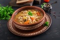 Barley soup with carrots, tomato, celery and meat Royalty Free Stock Photo