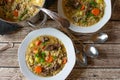 Barley soup with meat and root vegetables Royalty Free Stock Photo