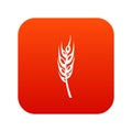 Barley spike icon digital red
