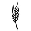 Barley spike icon, simple style