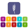 Barley spike icons set flat