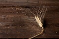 Barley, spike on wood