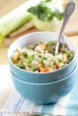 Barley and vegetables ragout Royalty Free Stock Photo