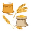 Barley wheat icon set, realistic style Royalty Free Stock Photo