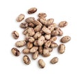 Barlotti Beans Royalty Free Stock Photo