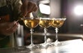 Barman adding olives to martini cocktail on counter. Space for text