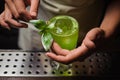 Barman is decorating cocktail with basil Royalty Free Stock Photo