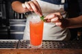Barman is decorating cocktail with mint Royalty Free Stock Photo