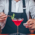 Barman decorating cocktail at a nightclub. Nightlife and entertainment concept