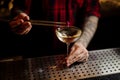 Barman decorating elegant cocktail with a little rose bud Royalty Free Stock Photo