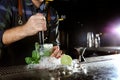 Barman making Mojito cocktail at counter in pub, closeup