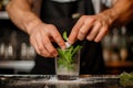 barman muddling sugar and mint in a glass Royalty Free Stock Photo