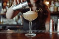 Barman pouring fresh alcoholic drink into the glass with ice cubes. Professional bartender prepare a fresh cocktail Royalty Free Stock Photo