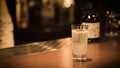 Barman pouring fresh alcoholic drink into the glasses bar counter with background Royalty Free Stock Photo