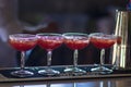 Barman pouring a fresh pink alcoholic cocktail into the elegant glass on the bar counter Royalty Free Stock Photo