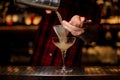 Barman pouring juicy alcoholic cocktail from shaker into cocktail glass Royalty Free Stock Photo