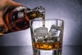 Barman pouring whiskey with ice cubes in glass on black background, cold atmosphere Royalty Free Stock Photo